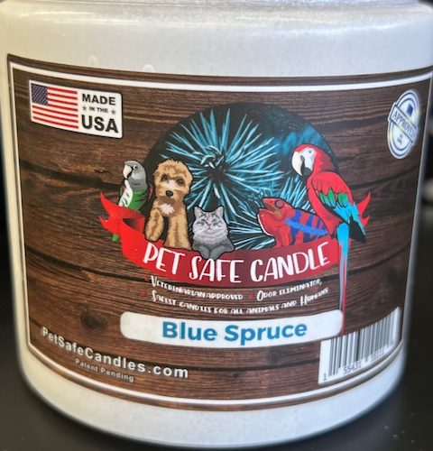 Parrot Safe Candles-Blue Spruce